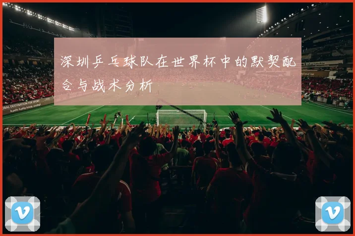 深圳乒乓球队在世界杯中的默契配合与战术分析