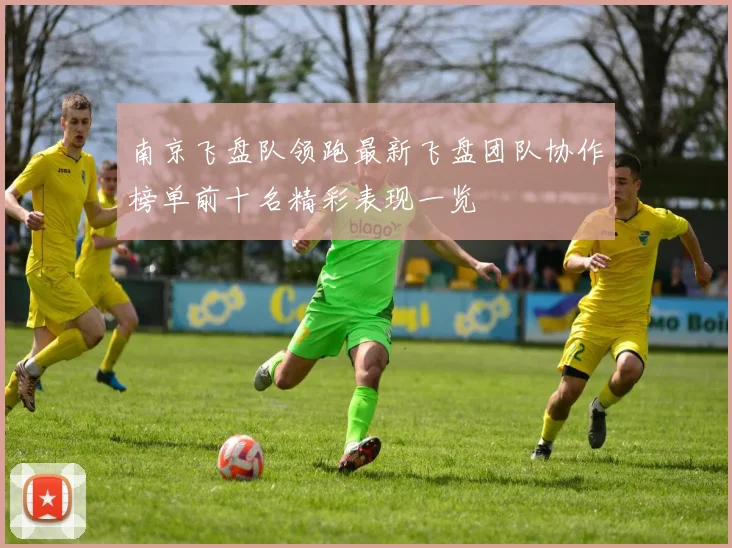 南京飞盘队领跑最新飞盘团队协作榜单前十名精彩表现一览